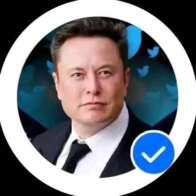 CEO_TESLA0088's profile picture. 