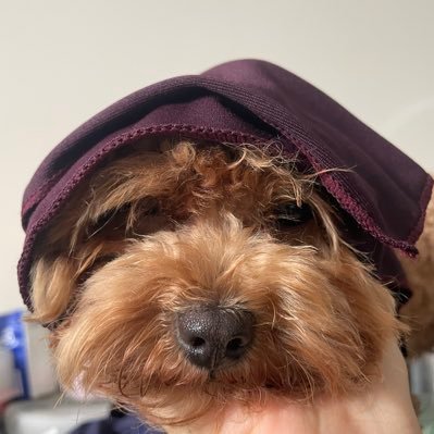 zhrlitrue's profile picture. 