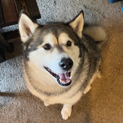 monchoidk's profile picture. i like metalcore :) \\ EE student \\ @rocklover82