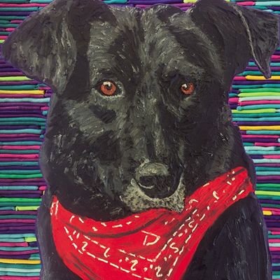 maboxp's profile picture. Opino de todo, porque estoy informado y te pongo atención. Desde 1978.