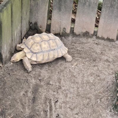 CanaanOsborne's profile picture. Aspiring author of science of science fiction and fantasy.