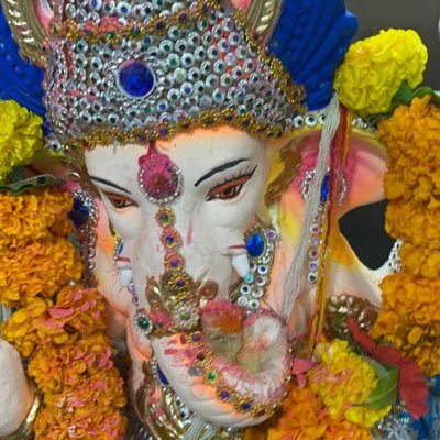 KARTIKS23678184's profile picture. “DNA हिन्दू 🚩            सोच राष्ट्रवादी 🇮🇳”