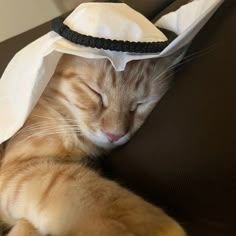 afifvdin's profile picture. muslim engineer