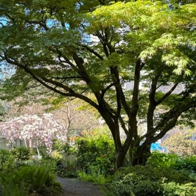 gayrussianspy's profile picture. 