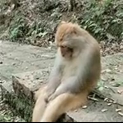 MaxZemog's profile picture. LOCK IN MFER LOCK TF IN