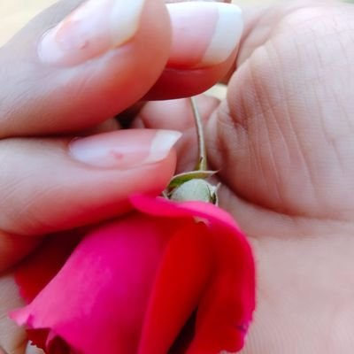 Manishakharbas's profile picture. लिखने मे मेरी रुचि है लिखती हु वो जो मेरा मन बोलता है।
शिव जी की बड़ी भक्त हु। ❤️ 
बेनीवाल जी के विचारों से बहुत प्रभावित हुं।