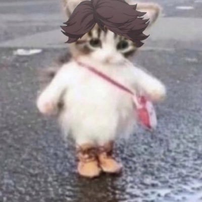 kaifangst's profile picture. hi :)