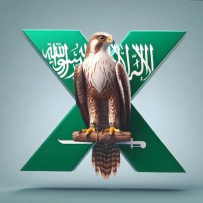al_wlyam0's profile picture. اللهم أرنا الحق حقاً وأرزقنا اتباعه وأرنا الباطل باطلاً وارزقنا اجتنابه