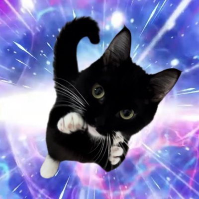 Twit19198's profile picture. I'm on that good preg and tocopherol