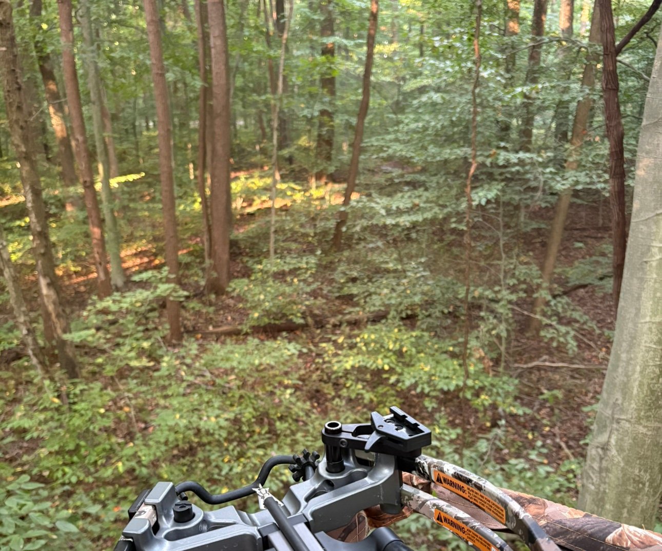 BTLegend1972's profile picture. 