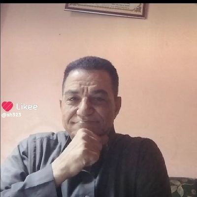 shaltoutMs76028's profile picture. I'm direct. And I love honesty