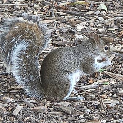 eltov345's profile picture. 