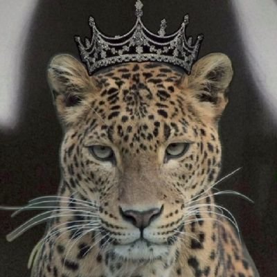 Als28357Esra's profile picture. Girl of strength🐆