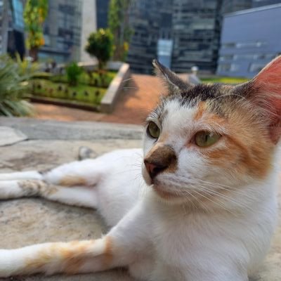 Ravensrayy's profile picture. raven mau ke pantai