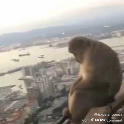 Johan8590's profile picture. Parlay ain’t been hitting