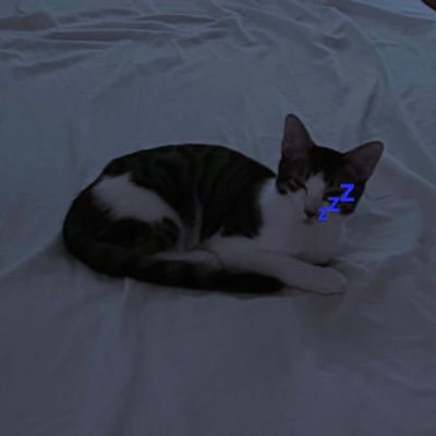 ikrqdsk's profile picture. o4 元 @BnAuV4DXlI82847