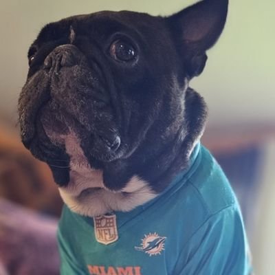 finfan74's profile picture. Still wondering if this is the right planet for me. Just sharing love on this planet for now.