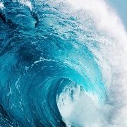 tierney_ow15275's profile picture. 