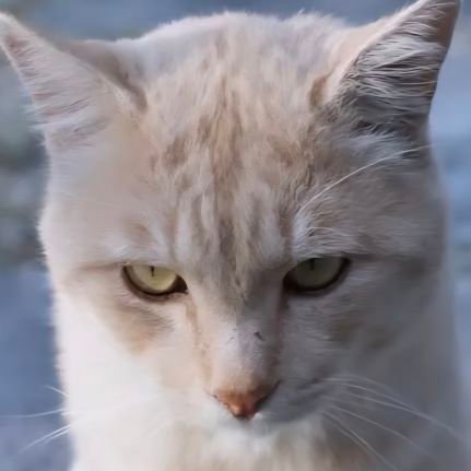 rara0905_s5's profile picture. 