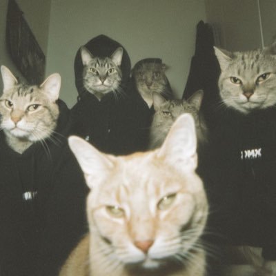 whoisbasss's profile picture. 