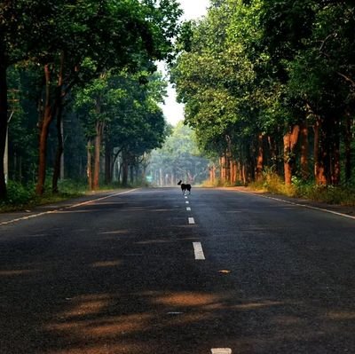 iamSabyasachi25's profile picture. target 🎯 1k