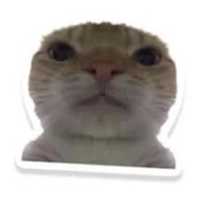 easymac0821's profile picture. 