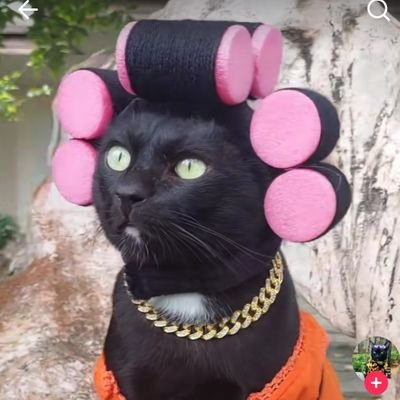 Nickknameb's profile picture. 