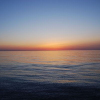 mikkochan1234's profile picture. 