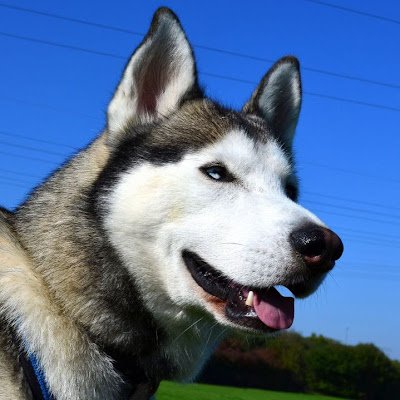 Yordanos000's profile picture. 