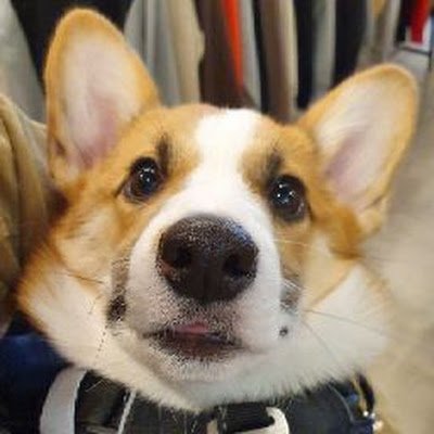 ChaeRocky's profile picture. 