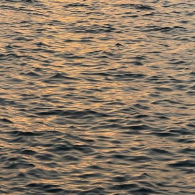 kinderbueno31's profile picture. 24. she/her