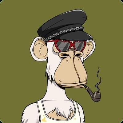 bigbull0x0's profile picture. bull run only