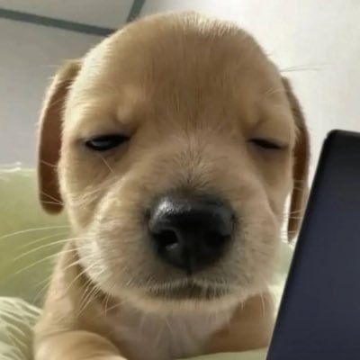 enkskd's profile picture. 