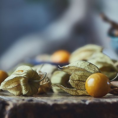 Zxzh2504133's profile picture. 