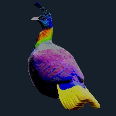 2rad0's profile picture. 