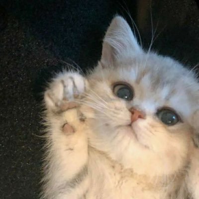 suugkr23's profile picture. 