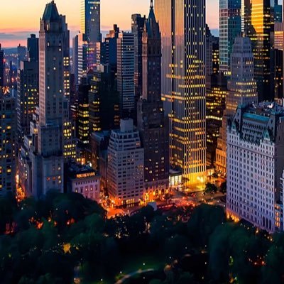 Anegah00's profile picture. …