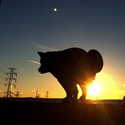 Yennefer1315985's profile picture. 