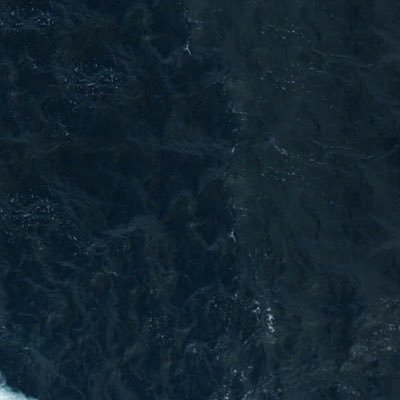 twinklestree's profile picture. personal fan account.