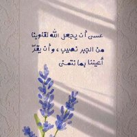 Salsa (@sallsa444) 's Twitter Profile Photo