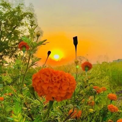 TazrinJaha59616's profile picture. জীবনটা আসলেই বেদনার🫂💙❤️💙💦💦💦👀👀👁️👁️👁️👁️🫀🫀🫀🫶🫶🫶🥰🥰🥰👄😎🇧🇩🇧🇩🇧🇩💙💙💙🤍🤍🤍🤍🤍🤍🗨️🗨️🗨️🗨️😎💥💣💣💣💨💨💨💨💨💨💨💨💨💨 (নিকোটিন জীবন)