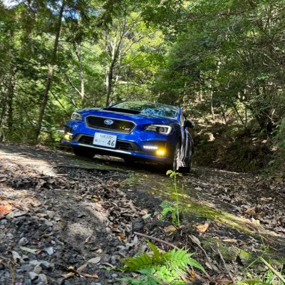 mikithi_NOGI46's profile picture. レヴォーグVMG(AWD) キャリイDA63T(4WD) 酷道 旧道 林道 乃木坂46 トラックドライバー #bananamoon #乃木坂46ANN #佐久間宣行ANN0