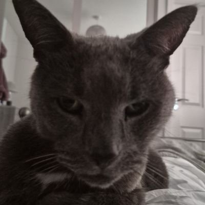 bhoys1299's profile picture. MUFC, The Roses and 🌹🤙