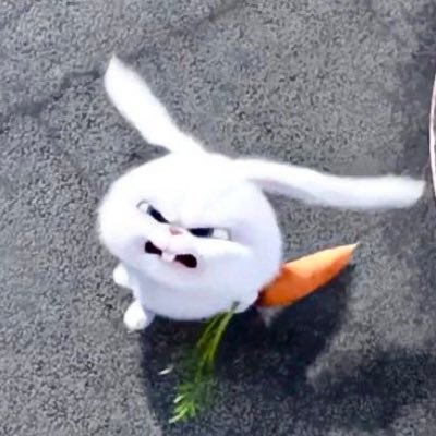 yuki_daruma_s2's profile picture. apexと邦ロとアイドルとお相撲が好きです