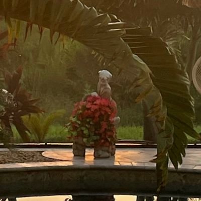 lainynewyork's profile picture. Entrepreneur, Conservative. I believe in Angels. I grew up in NY, I do not live in NY, so don't ask me how NY is, because I won't know‼️