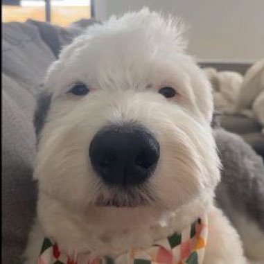 rabbitcakes788's profile picture. 