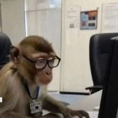 mais_iris48322's profile picture. 