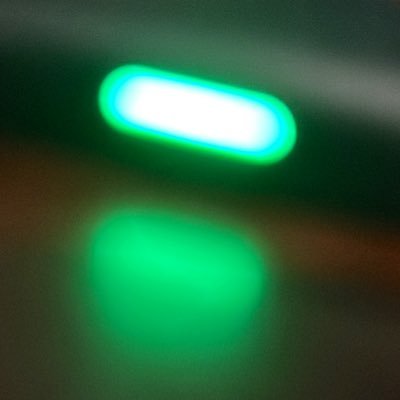 ernsierrax's profile picture. not financial advice. LONG LIVE TERRI