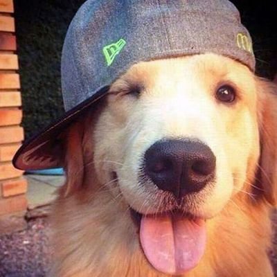 el_edmedi's profile picture. soy del su puta toy en la calle