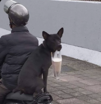 gibson_ama55172's profile picture. 